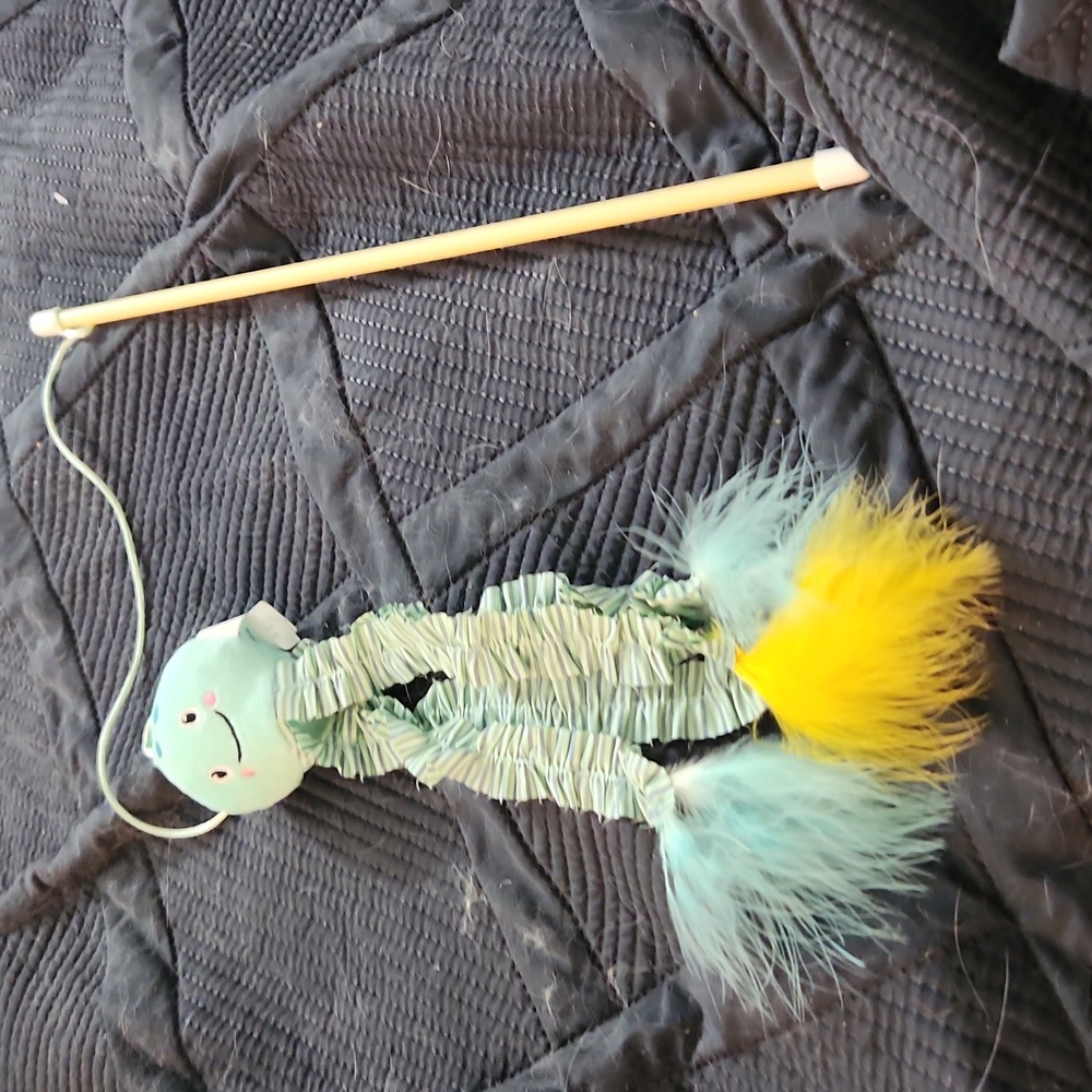 Cat toy